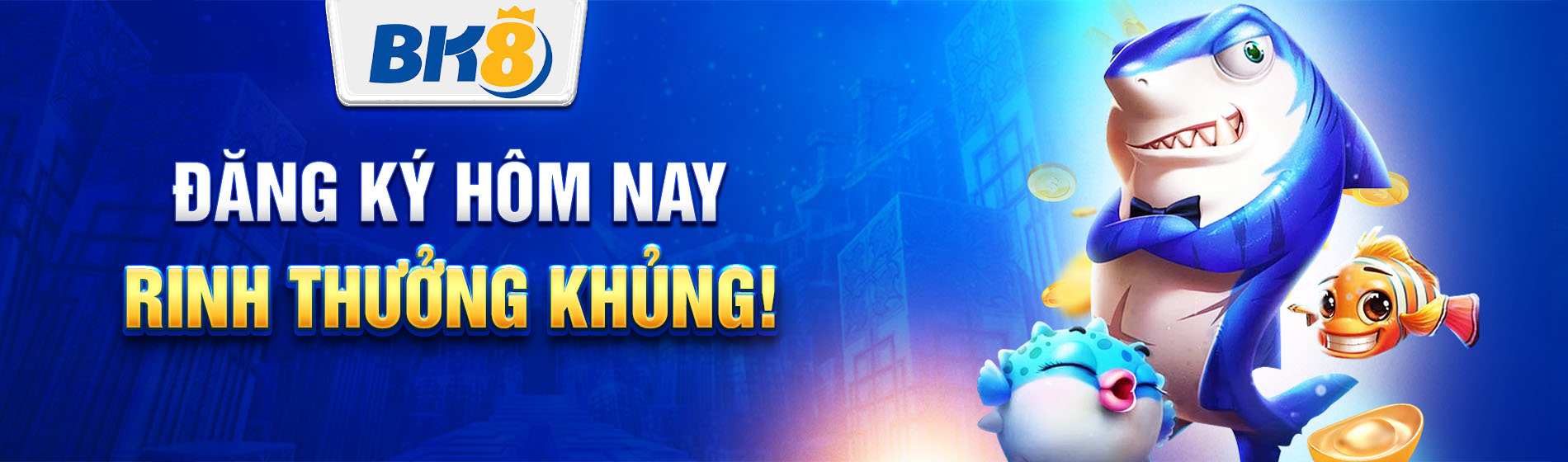 Banner bk8