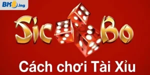 Cách chơi tài xỉu
